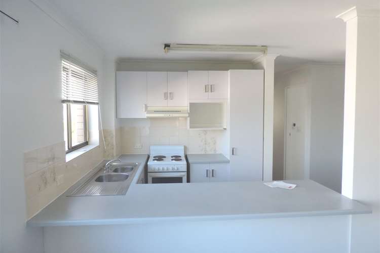 Main view of Homely unit listing, 3/5 Little Street, Albion QLD 4010