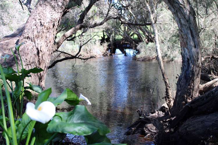 Main view of Homely house listing, 65 Murray Road Gingin, Muckenburra WA 6503