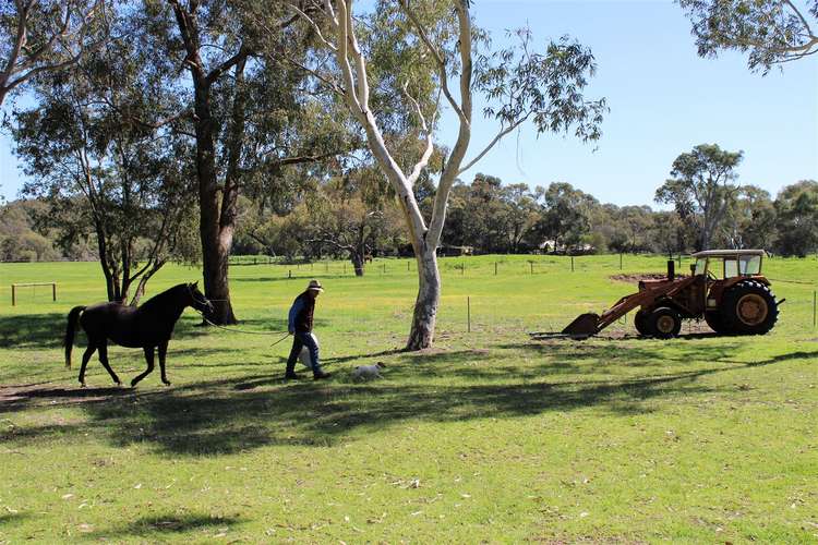 Fourth view of Homely house listing, 65 Murray Road Gingin, Muckenburra WA 6503