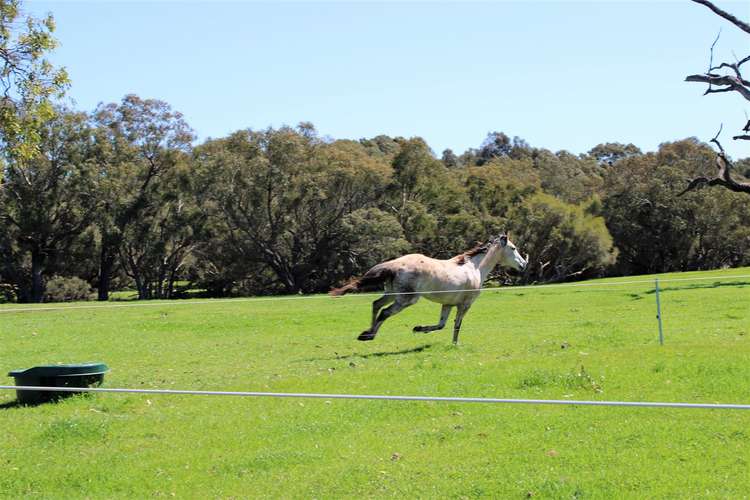 Sixth view of Homely house listing, 65 Murray Road Gingin, Muckenburra WA 6503