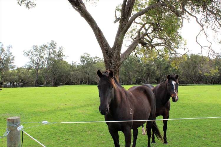 Seventh view of Homely house listing, 65 Murray Road Gingin, Muckenburra WA 6503