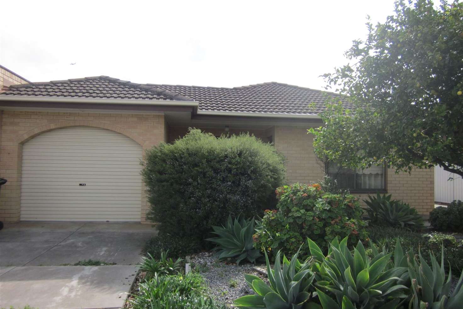 Main view of Homely unit listing, 1/3 Rowney Avenue, Campbelltown SA 5074