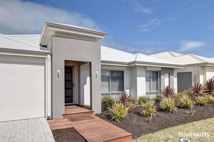 Third view of Homely house listing, 101 Celeste Street, Alkimos WA 6038