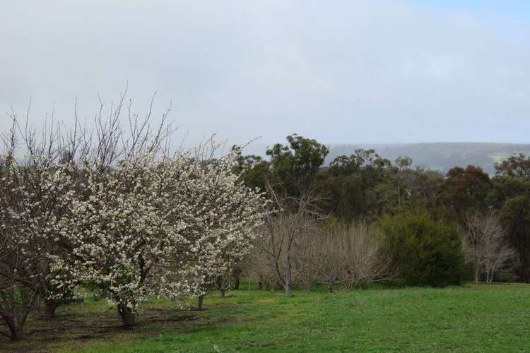 Third view of Homely residentialLand listing, 23 Silverbirch Hts, Bridgetown WA 6255