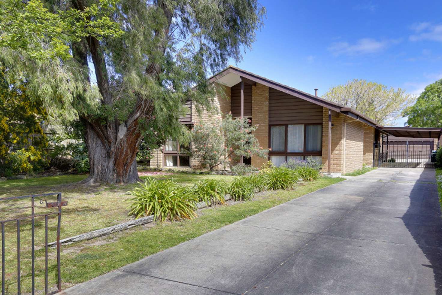 Main view of Homely house listing, 12 McCallum Street, Hastings VIC 3915