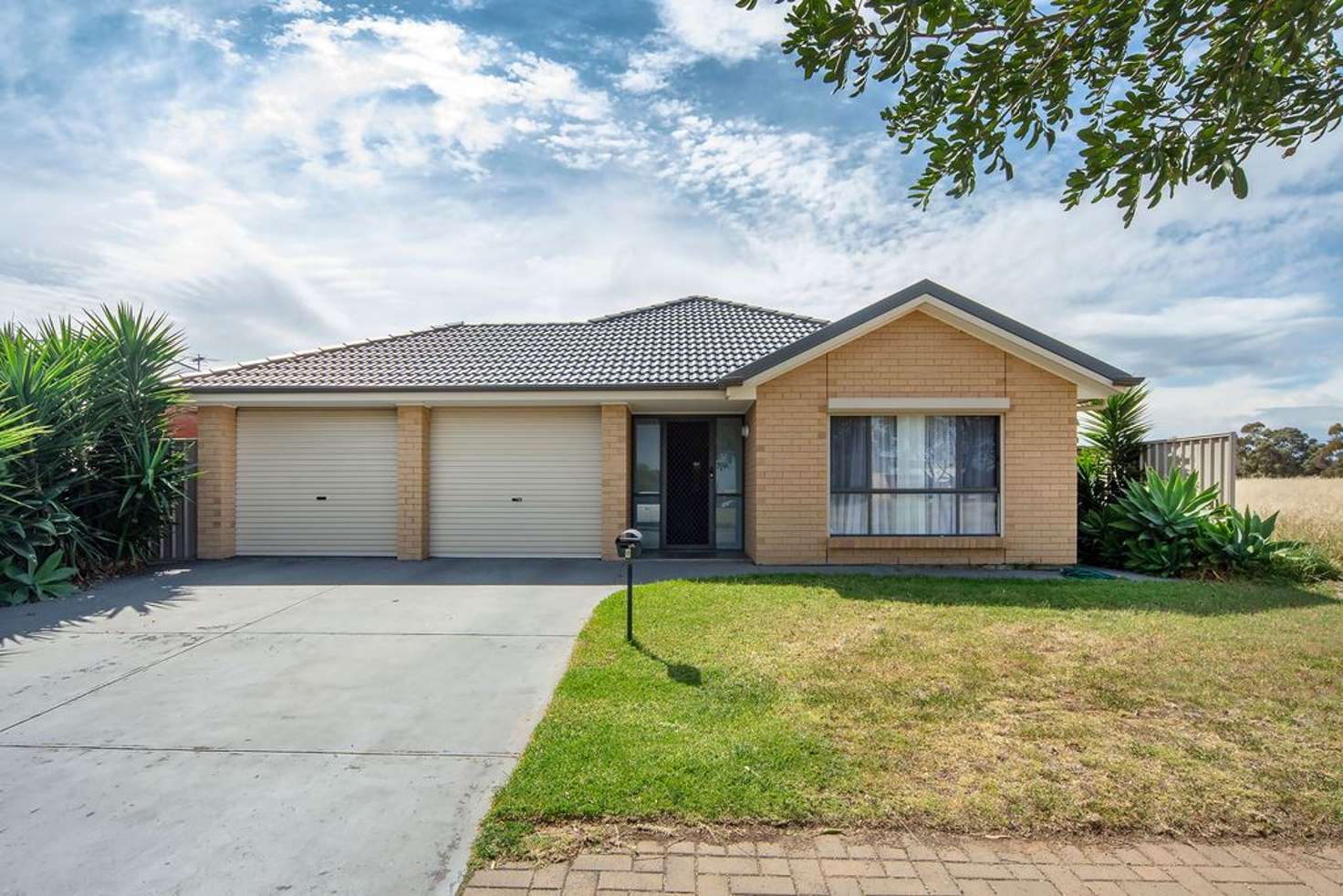 Main view of Homely house listing, 8 McKinna Road, Christie Downs SA 5164