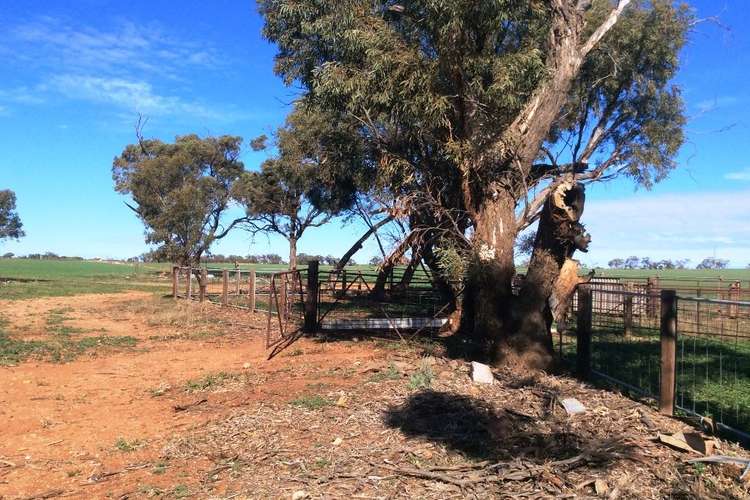 Sixth view of Homely ruralOther listing, 139 Morchard Road, Booleroo Centre SA 5482