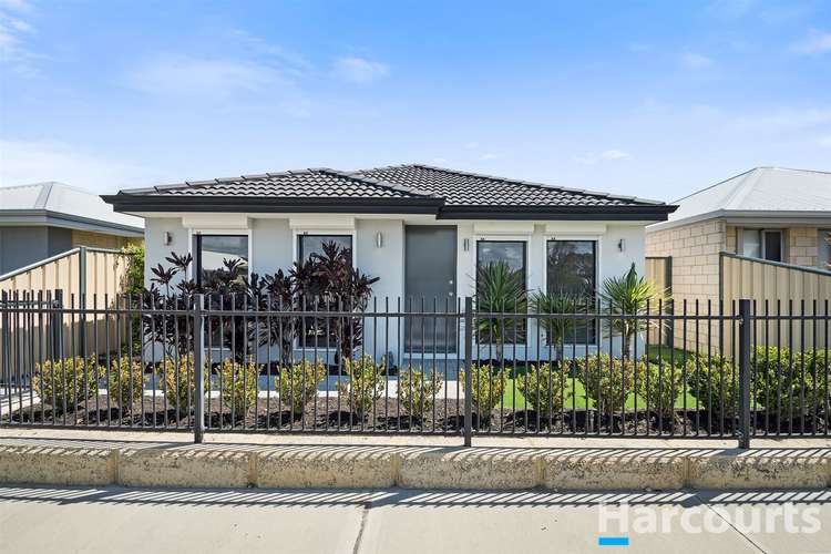Main view of Homely house listing, 105 Blackwood Meander, Yanchep WA 6035