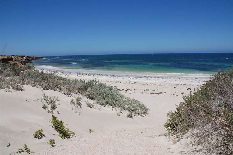 Fifth view of Homely ruralOther listing, Lot 25 Cheetima Beach Road, Coorabie SA 5690