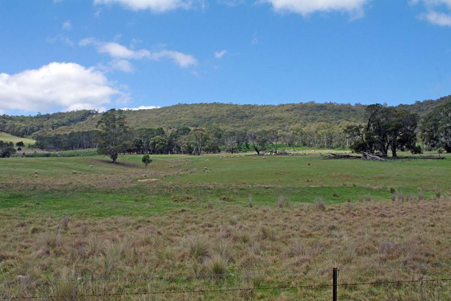 Main view of Homely ruralOther listing, 337 Bucky Springs Road, Bombala NSW 2632
