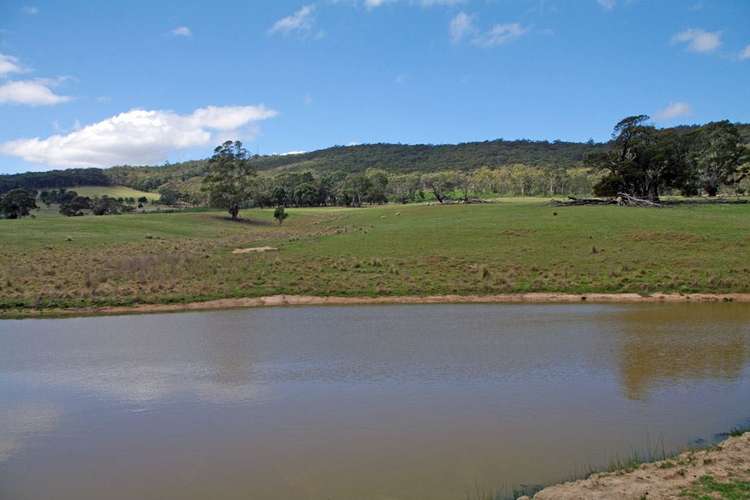 Fifth view of Homely ruralOther listing, 337 Bucky Springs Road, Bombala NSW 2632
