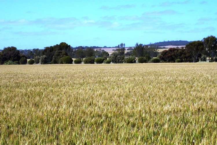 Main view of Homely ruralOther listing, Address available on request