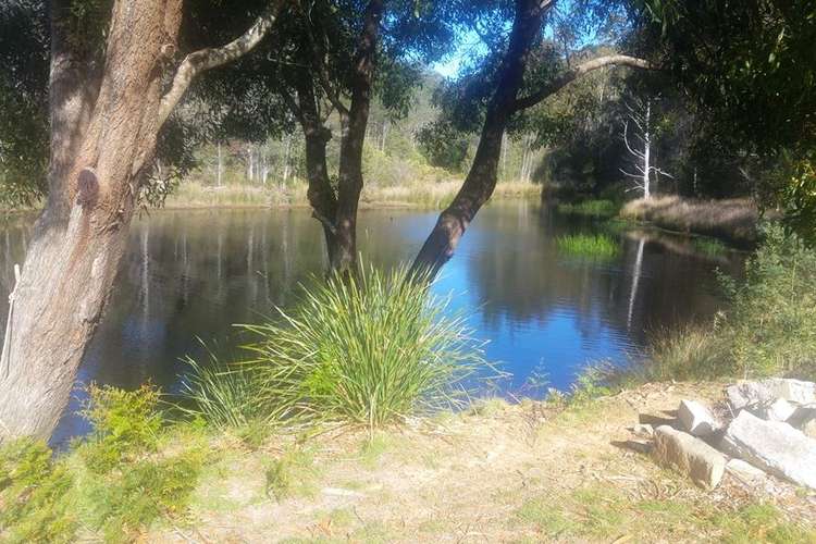 Main view of Homely house listing, 226 Irish Town Road, St Marys TAS 7215