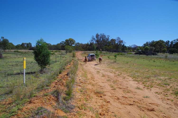 Second view of Homely ruralOther listing, 521 Kaputar Road, Narrabri NSW 2390