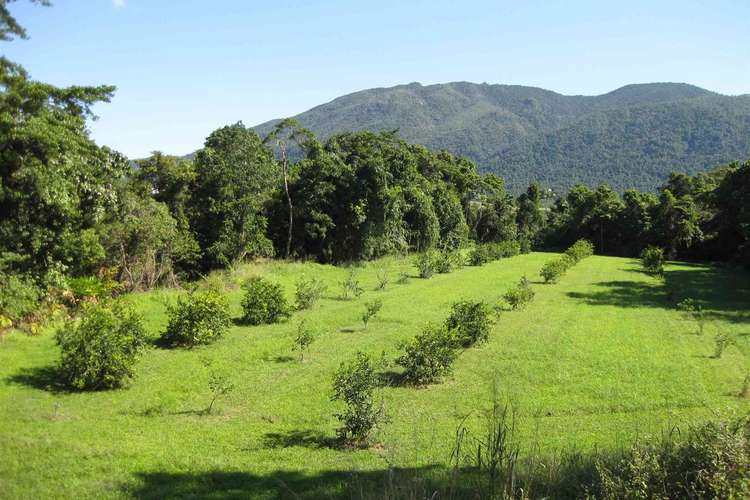 Fifth view of Homely ruralOther listing, 219 Old Tully Road, Bulgun QLD 4854