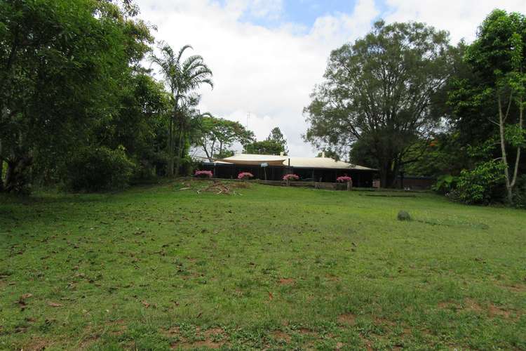 Fifth view of Homely ruralOther listing, 234 Old Palmwoods Road, Palmwoods QLD 4555