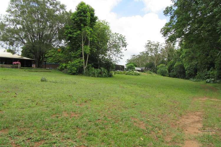 Sixth view of Homely ruralOther listing, 234 Old Palmwoods Road, Palmwoods QLD 4555