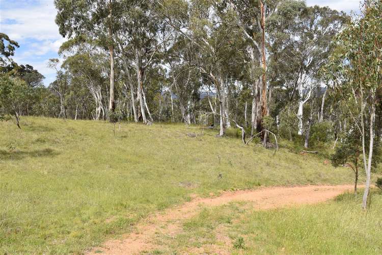 Third view of Homely ruralOther listing, 210 Tablelands Road, Benambra VIC 3900