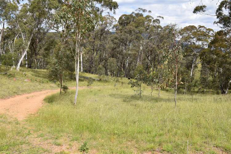 Fourth view of Homely ruralOther listing, 210 Tablelands Road, Benambra VIC 3900