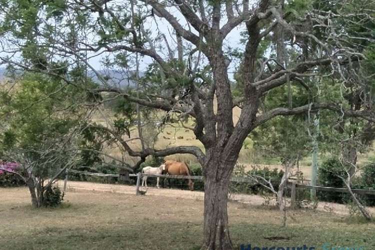 Fifth view of Homely acreageSemiRural listing, 46 Boyland Road, Boyland QLD 4275