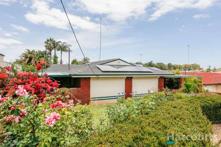 Third view of Homely house listing, 49 Owen Road, Hamilton Hill WA 6163