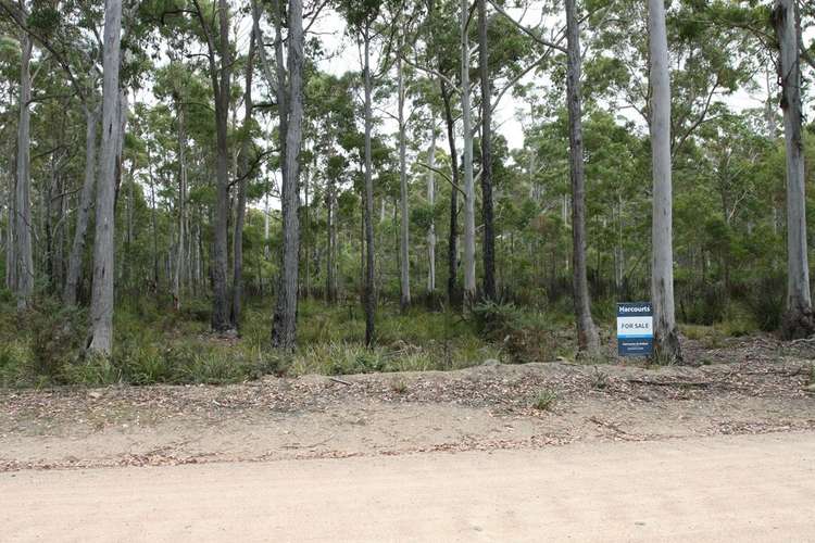 Second view of Homely residentialLand listing, Part of 205 Richardson Road, St Marys TAS 7215