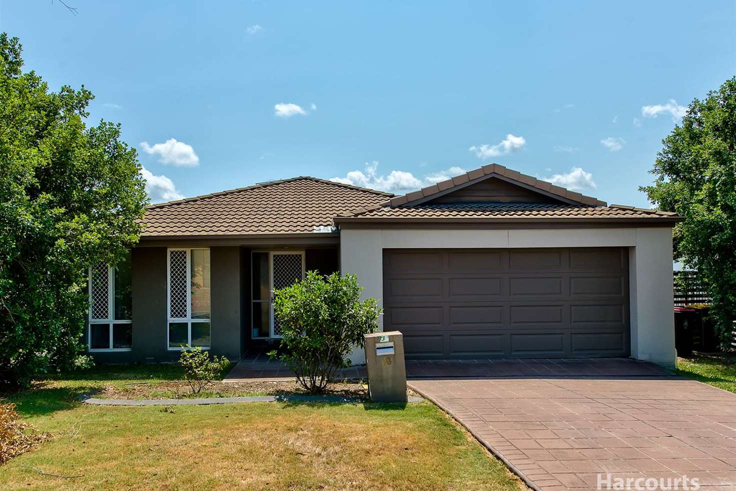 Main view of Homely house listing, 16 Cyperus Crescent, Carseldine QLD 4034