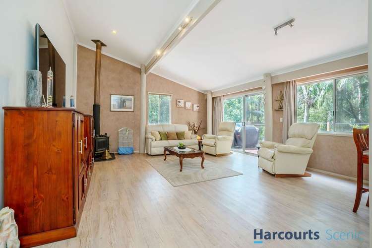 Fourth view of Homely house listing, 7 Kinabalu Drive, Tamborine Mountain QLD 4272