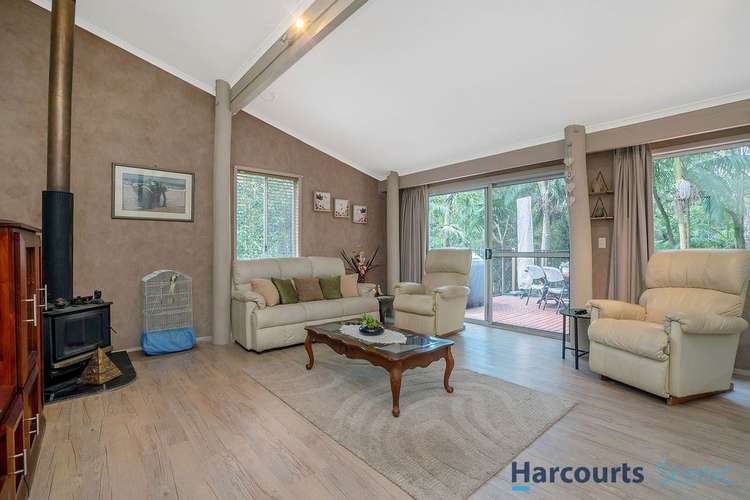 Sixth view of Homely house listing, 7 Kinabalu Drive, Tamborine Mountain QLD 4272