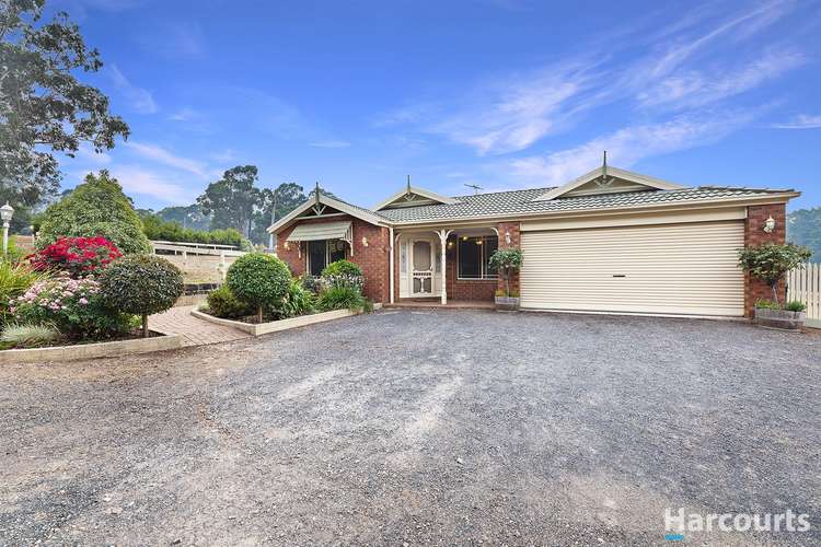 Main view of Homely house listing, 19 Wellwood Road, Drouin VIC 3818
