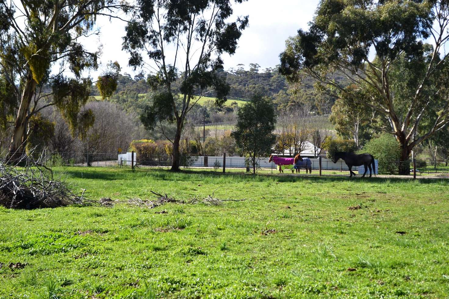 Main view of Homely residentialLand listing, Lot 241 Dame Street, Armagh SA 5453