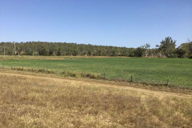 Seventh view of Homely ruralOther listing, 250 Heights Rd, Nanango QLD 4615