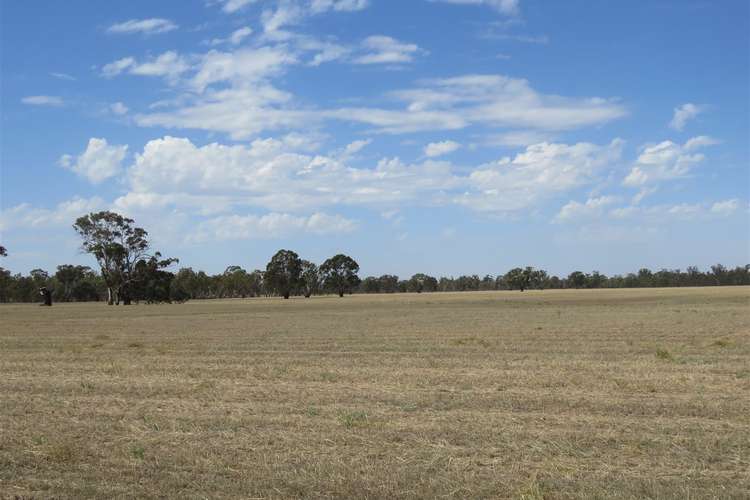 1452 Kotupna - Barmah, Picola VIC 3639