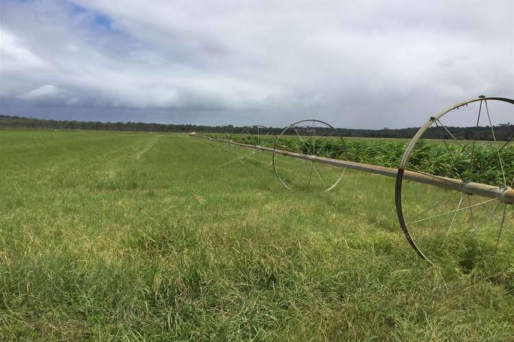 Second view of Homely horticulture listing, 749 Burnett Highway, Nanango QLD 4615
