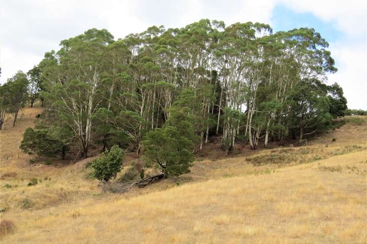 Fourth view of Homely ruralOther listing, 269 Old Yarragon Leongatha Road, Yarragon South VIC 3823