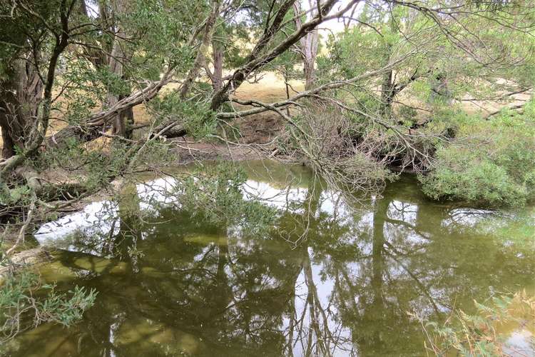 Fifth view of Homely ruralOther listing, 269 Old Yarragon Leongatha Road, Yarragon South VIC 3823