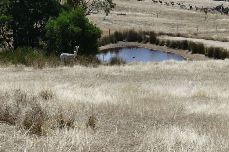 Main view of Homely ruralOther listing, Lot 2/571 Galls Gap Rd, Strathbogie VIC 3666