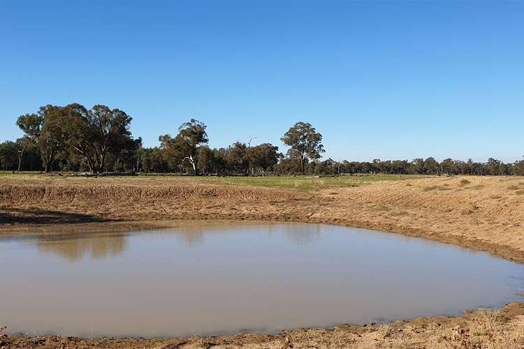 Main view of Homely ruralOther listing, 928 Bullenbong Road, The Rock NSW 2655