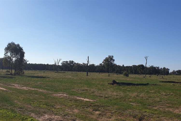 Sixth view of Homely ruralOther listing, 928 Bullenbong Road, The Rock NSW 2655