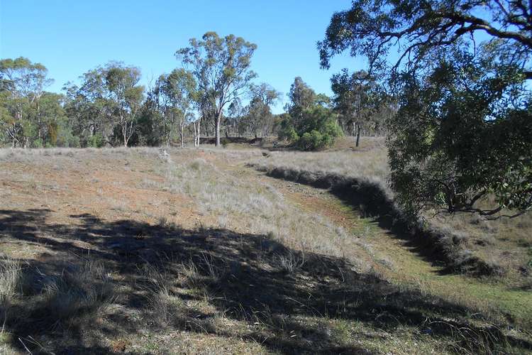 Main view of Homely ruralOther listing, Lot 4 & Lot 6 Pechey Maclagan Road, Goombungee QLD 4354