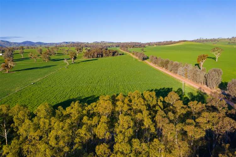Seventh view of Homely ruralOther listing, Melliodora/163 Plunkett Road, Bowna NSW 2644