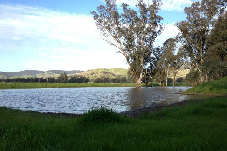 Main view of Homely ruralOther listing, 146 McKernans Road, Balmattum VIC 3666