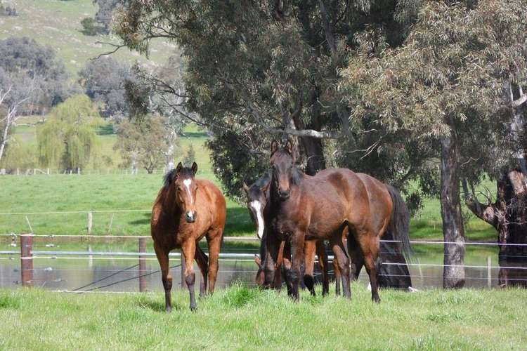 Second view of Homely ruralOther listing, 146 McKernans Road, Balmattum VIC 3666