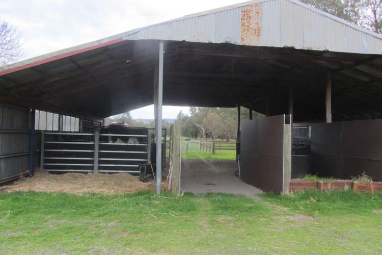 Seventh view of Homely ruralOther listing, 146 McKernans Road, Balmattum VIC 3666