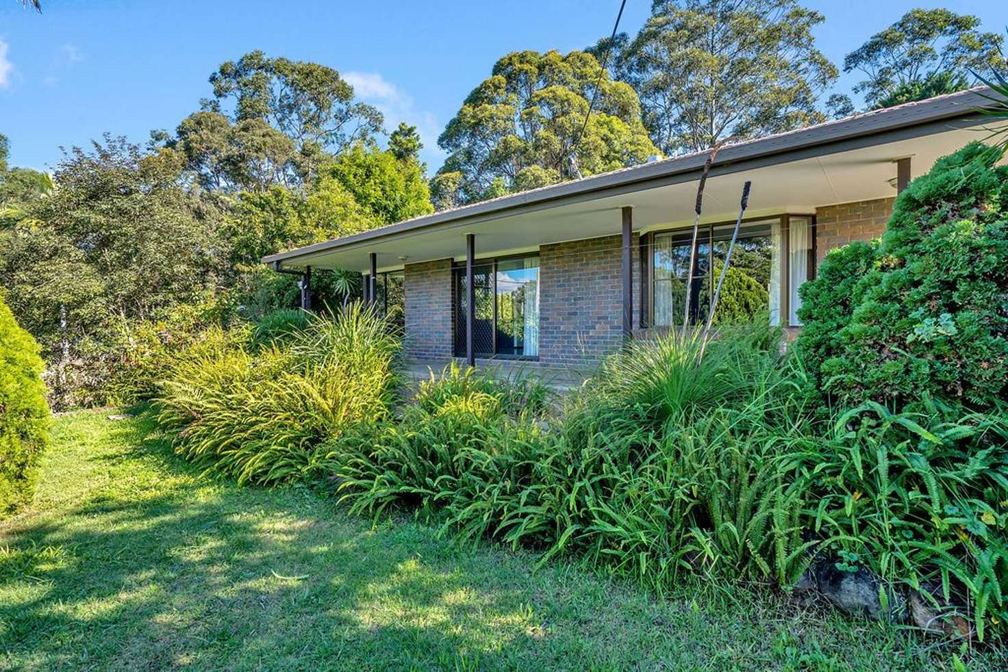 Main view of Homely house listing, 5 Madura Court, Tamborine Mountain QLD 4272