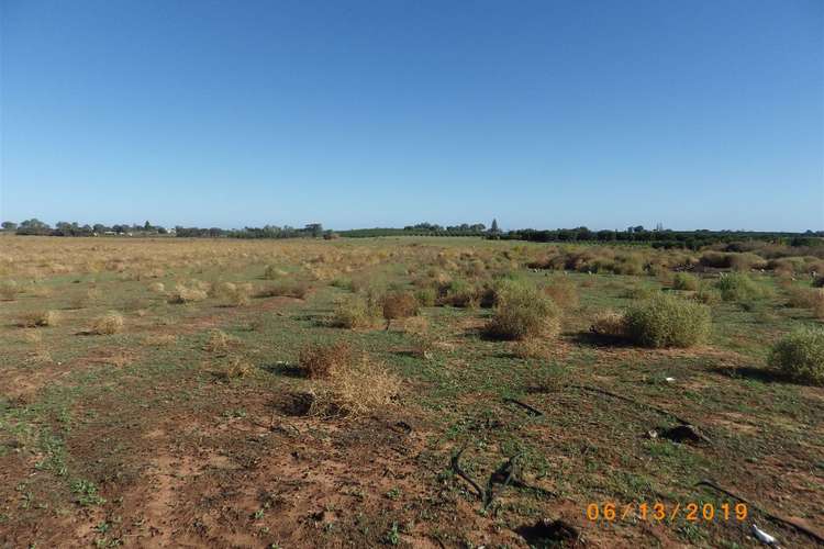 Fourth view of Homely ruralOther listing, 131 Fairweather Drive, Loxton SA 5333