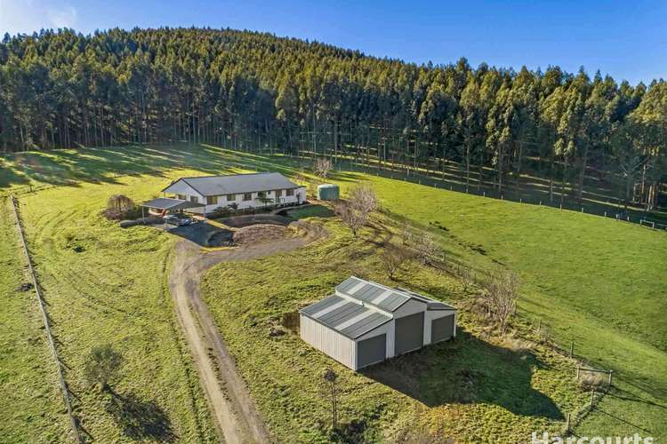 137 O'Tooles Road, Wild Dog Valley VIC 3953