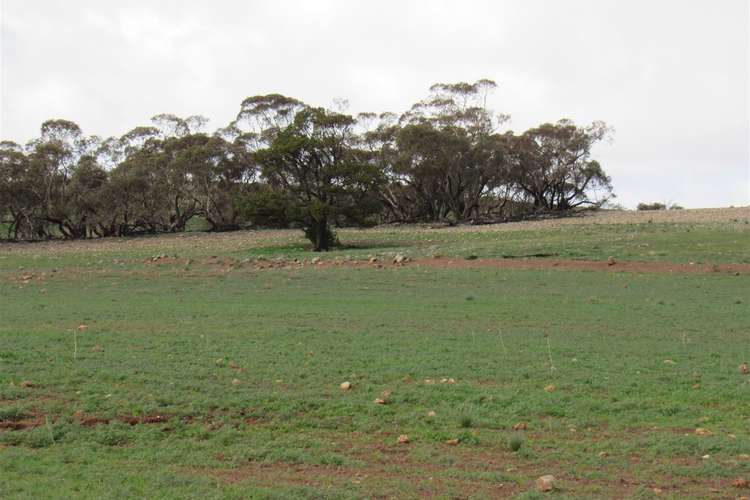 Second view of Homely ruralOther listing, Lot 91 Chapman Road, Orroroo SA 5431