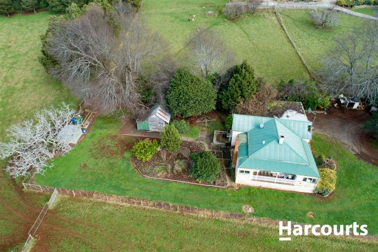 Second view of Homely acreageSemiRural listing, 35411 Tasman Highway, Scottsdale TAS 7260
