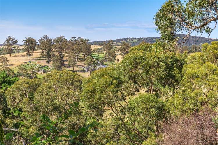 Third view of Homely residentialLand listing, 16 Fern Road, Upper Ferntree Gully VIC 3156